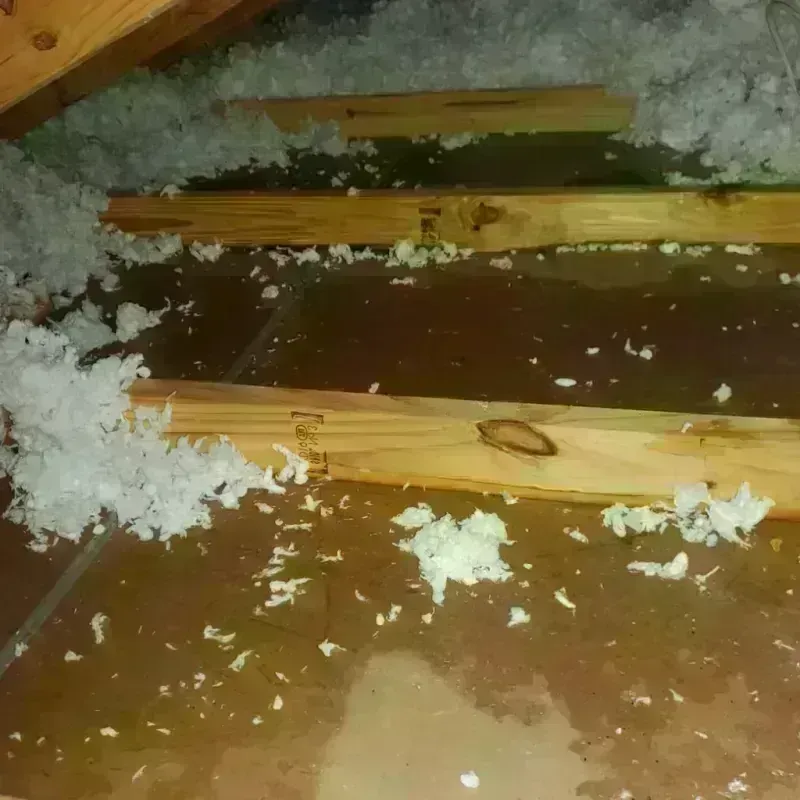 Attic Water Damage in Independent Hill, VA